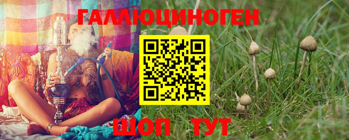 Псилоцибиновые грибы прущие грибы  Вход с VPN  Ессентуки 
