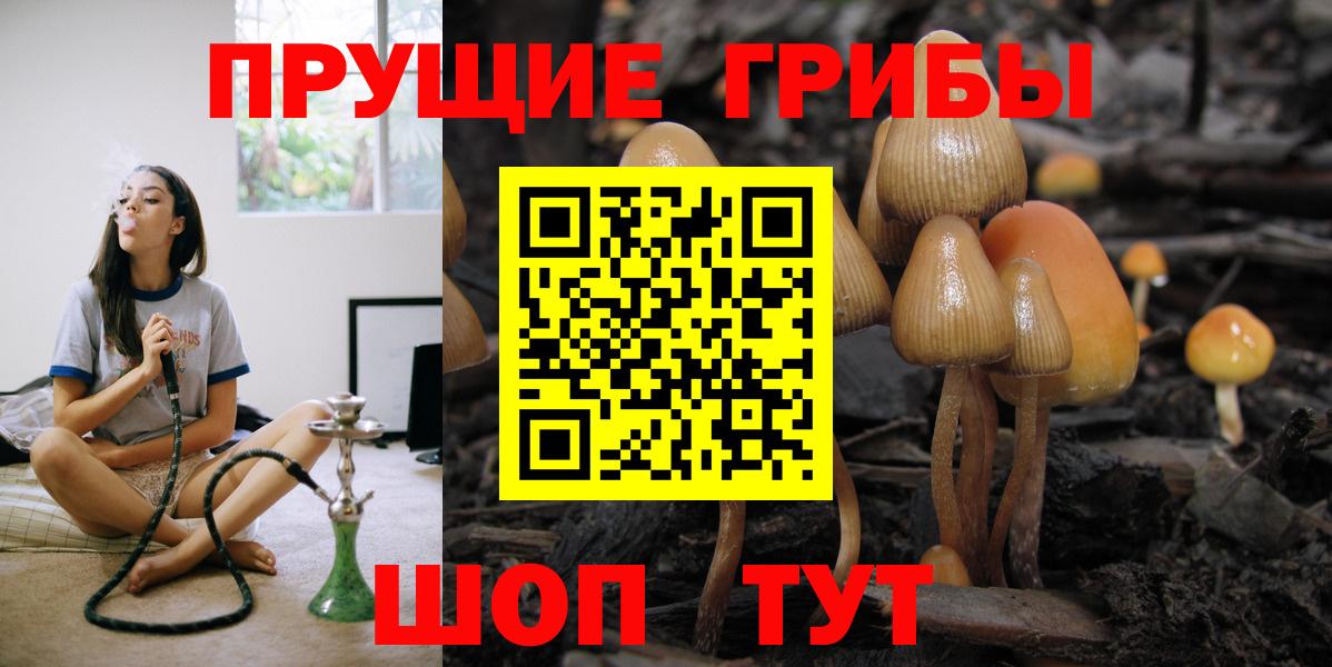 Псилоцибиновые грибы Cubensis Ессентуки