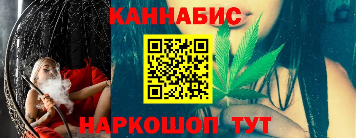 Конопля конопля Ессентуки